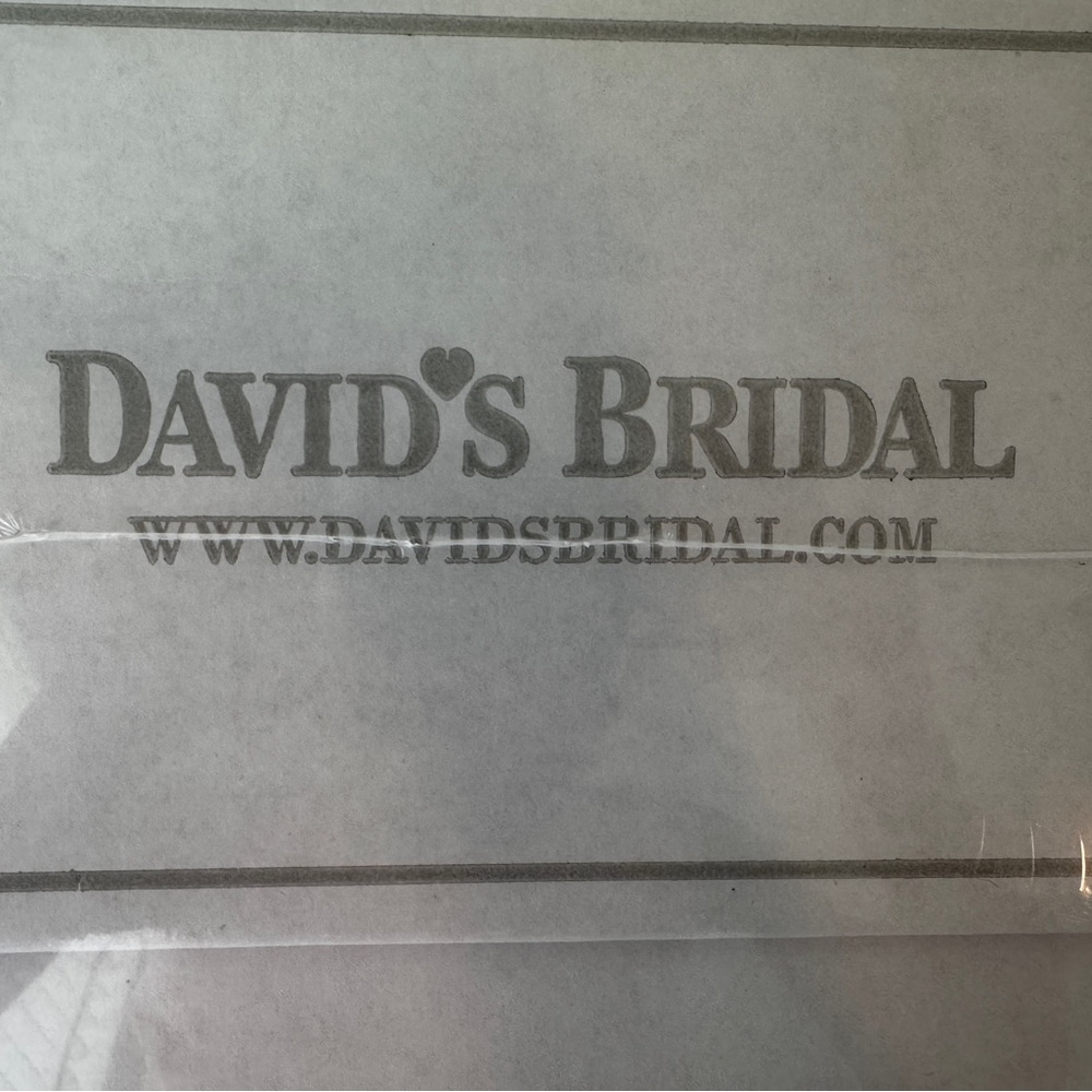 David’s Bridal Wedding Dress - Picture 8 of 8